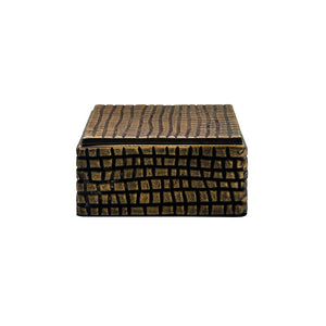 Lizzo Small Brass Aluminum Box with Reptile Texture