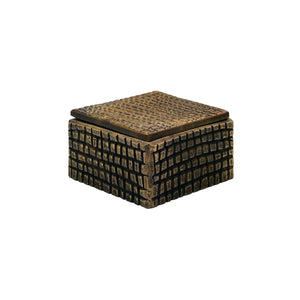 Lizzo Small Brass Aluminum Box with Reptile Texture