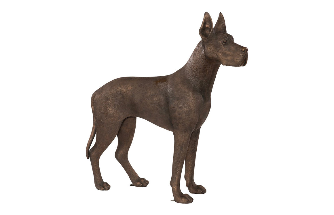 Great Dane, Standing , Bronze