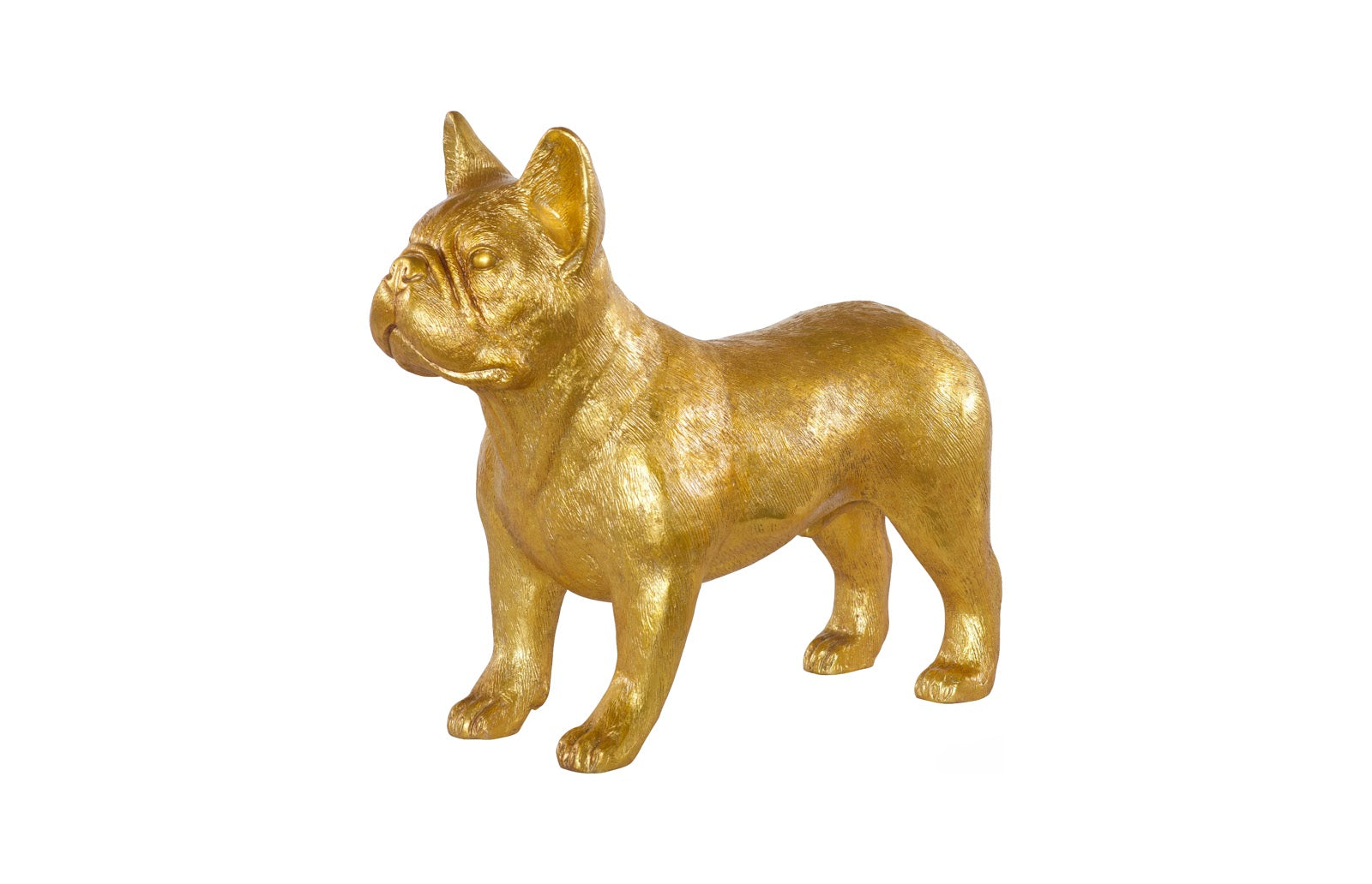 French Bulldog, Gold Leaf