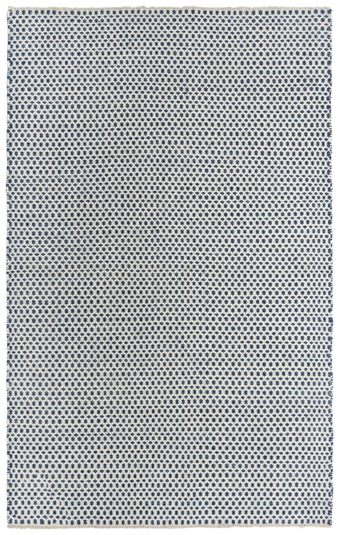 Rizzy Windsor WIN102 Area Rug