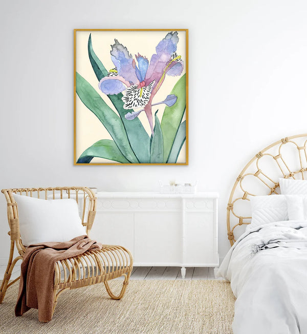 Wild Iris - Scenario Home