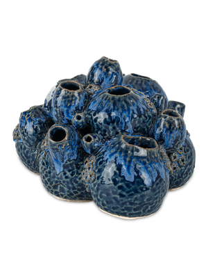 Sulawasi Blue Shells