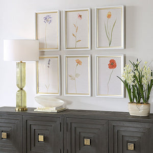 Uttermost Wild Flourish Framed Floral Prints Set/6