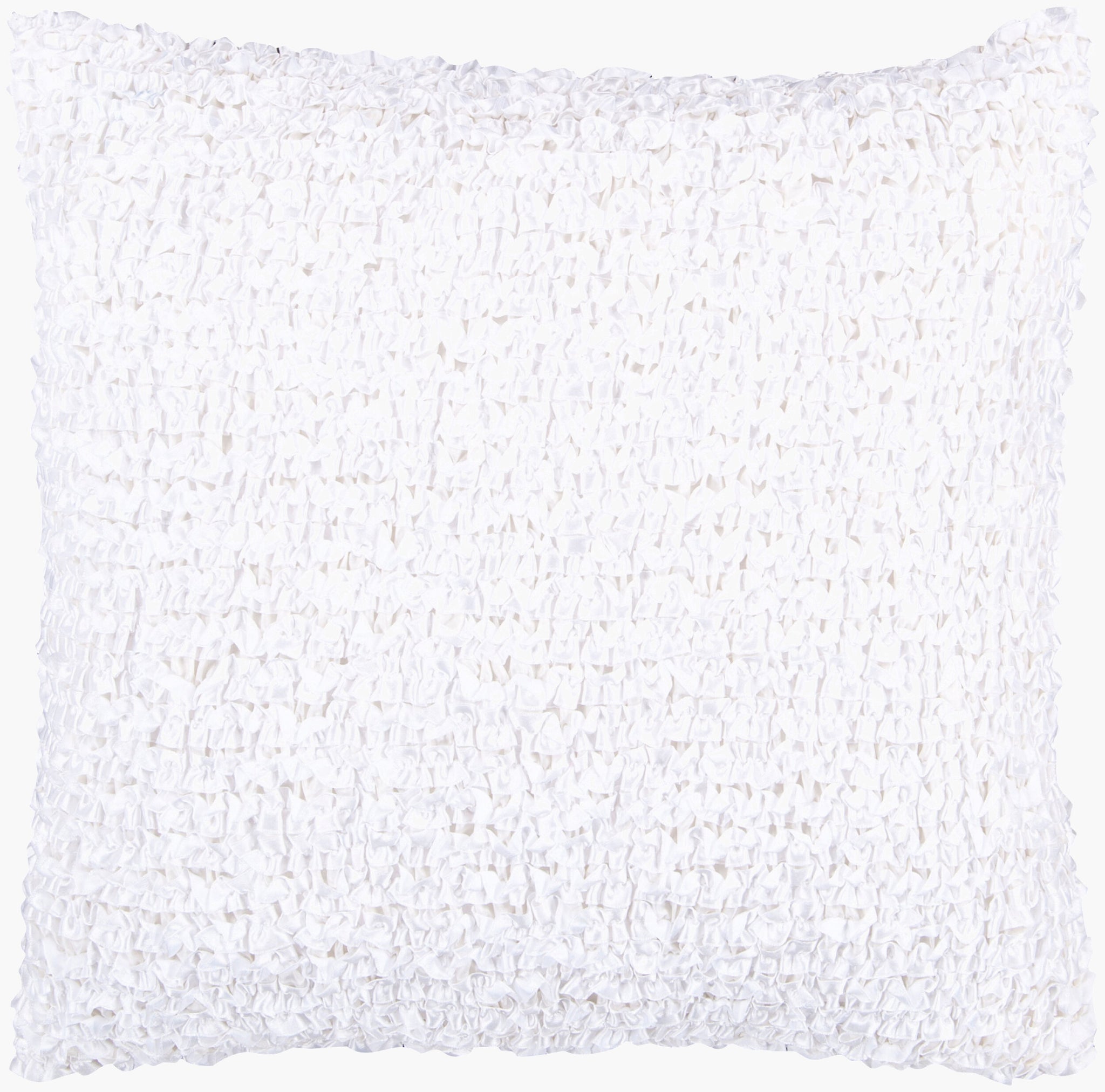 Surya Decorative Pillows ACO-404 Accent Pillow
