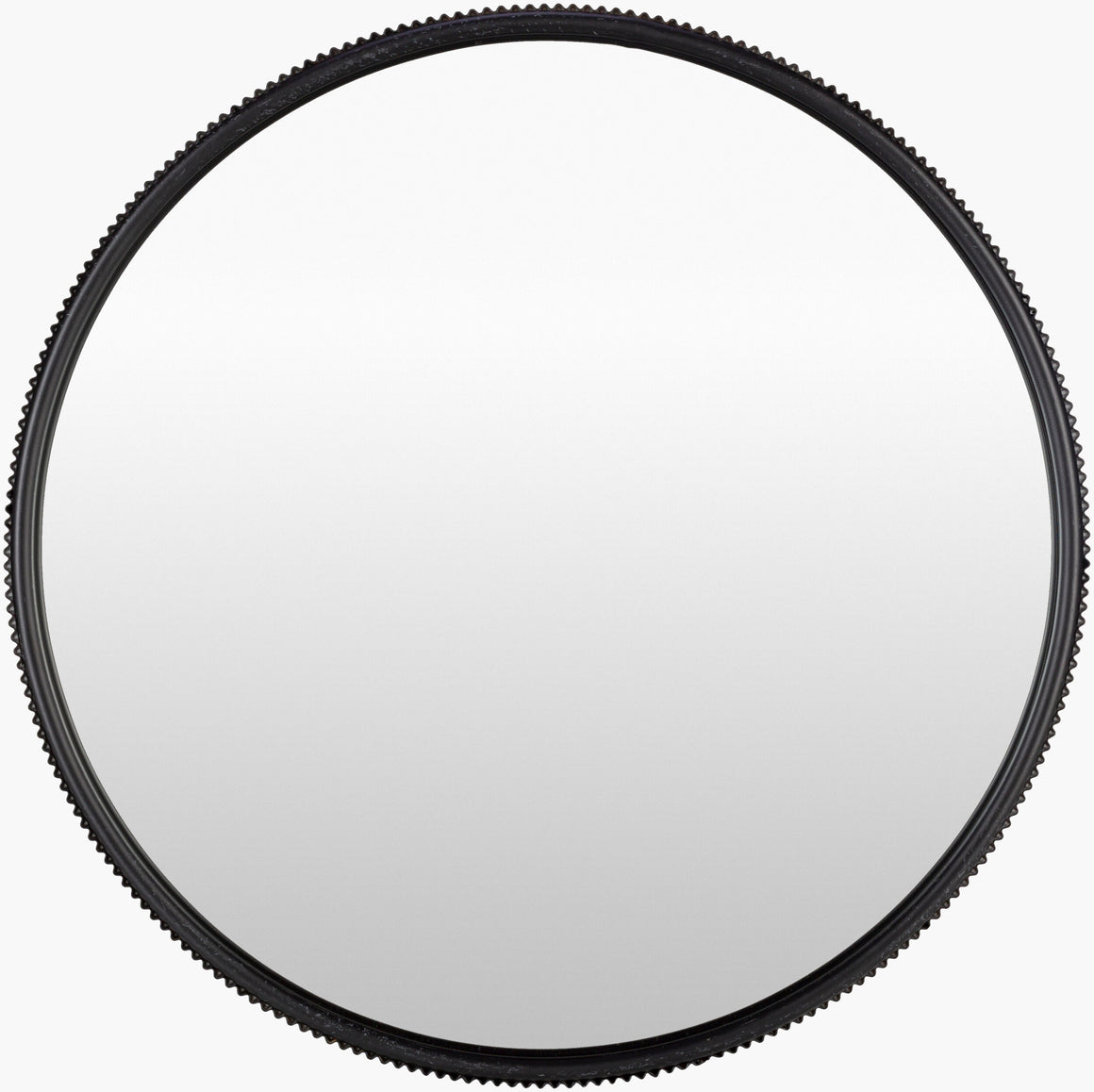 Surya Adrienne AID-002 Accent Mirror