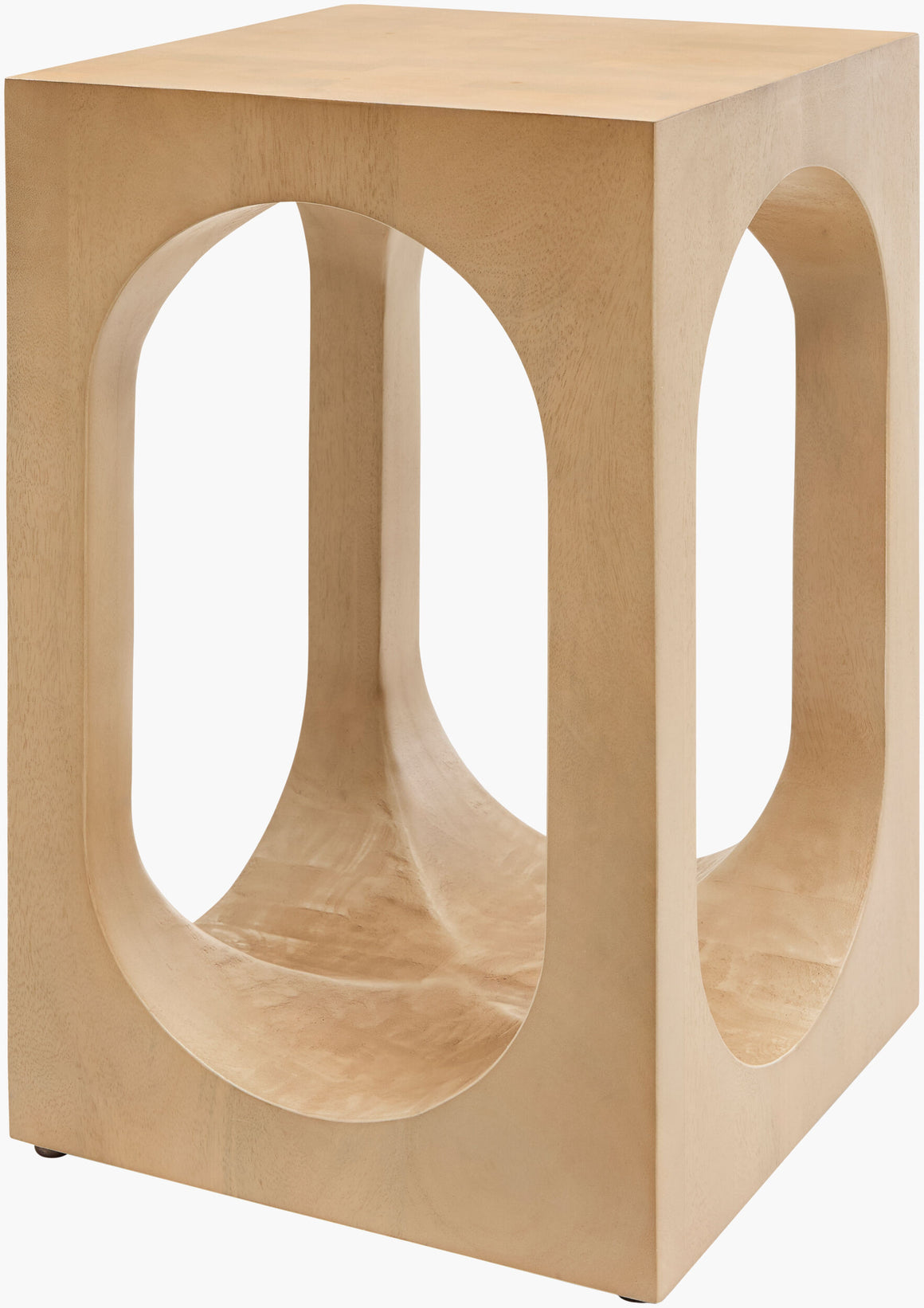 Surya Asner ASNR-001 End Table