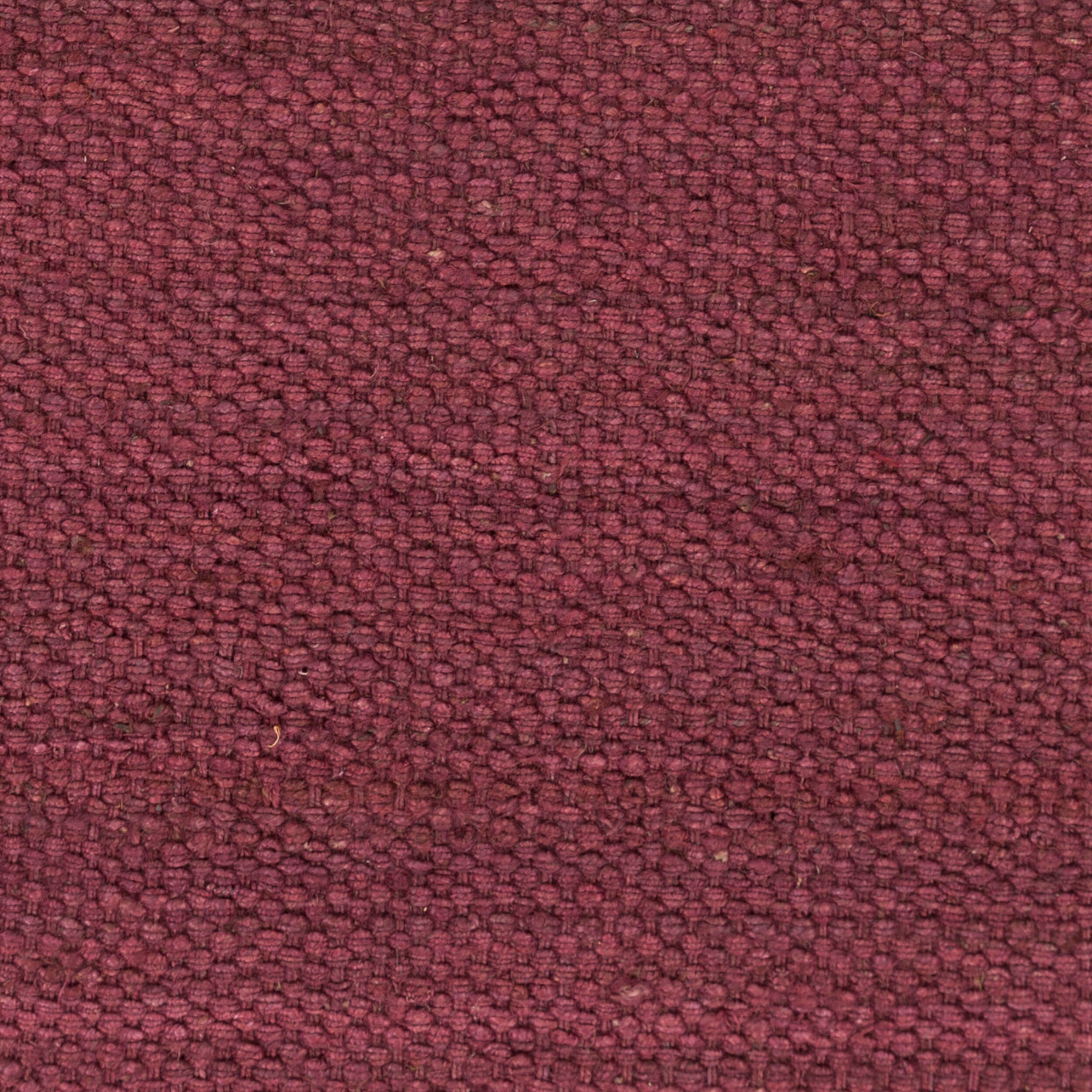 Surya Tropica AWAP-5008 Handmade Rug