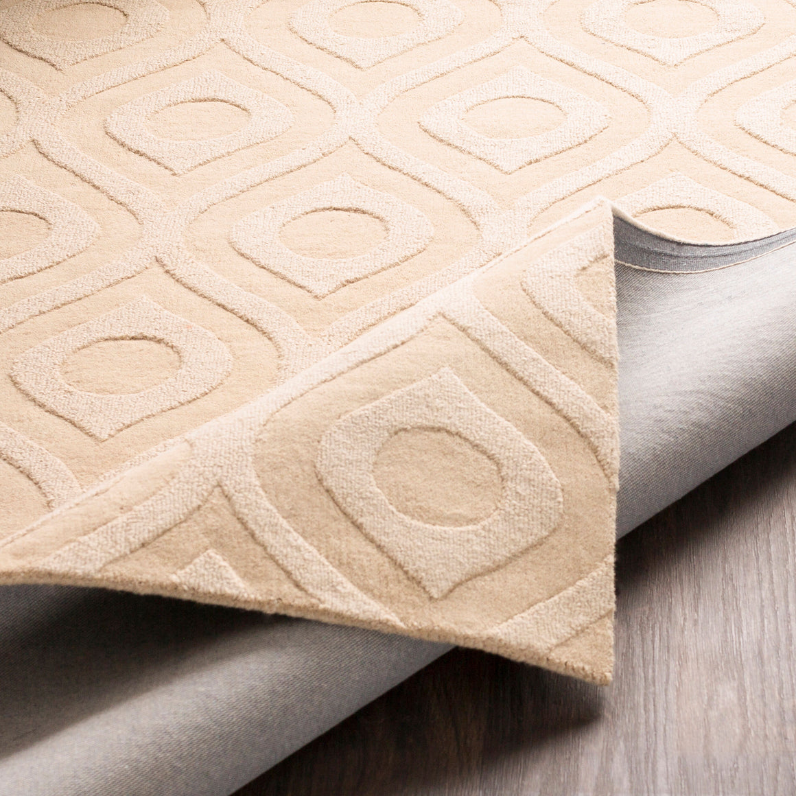 Surya Central Park AWHP-4005 Handmade Rug
