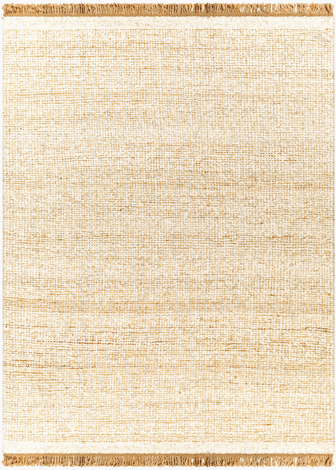 Surya Aylin AYI-2300 Handmade Rug