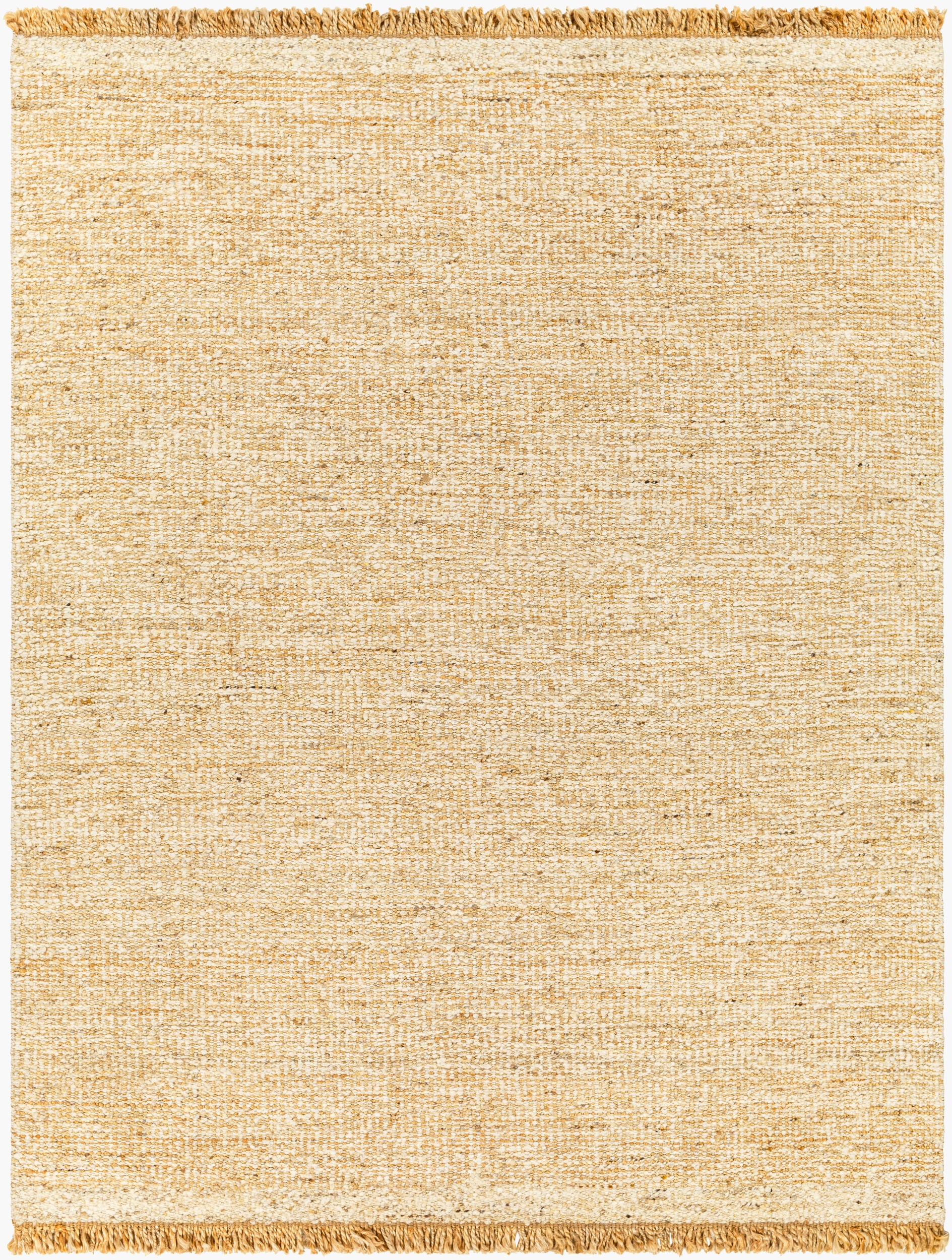 Surya Aylin AYI-2303 Handmade Rug