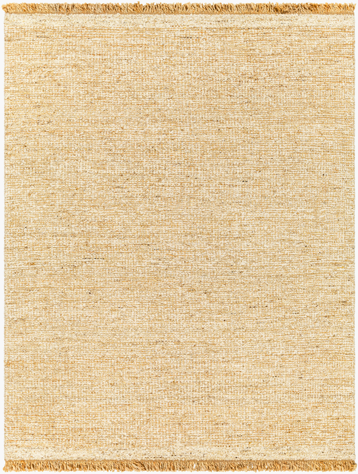 Surya Aylin AYI-2303 Handmade Rug