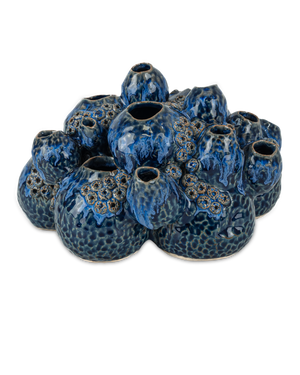 Sulawasi Blue Shells