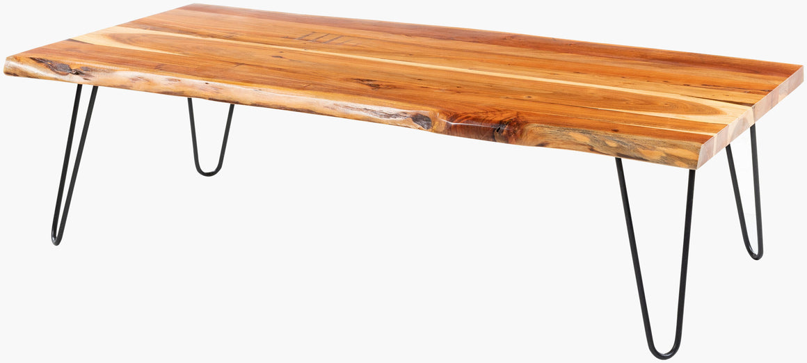 Surya Bergen BGE-002 Coffee Table