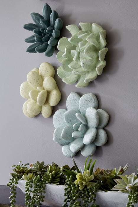 chartreuse succulents Oviferum Succulent Wall Art, Chartreuse