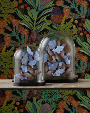 Rue de Bac Lilac Medium Butterflies