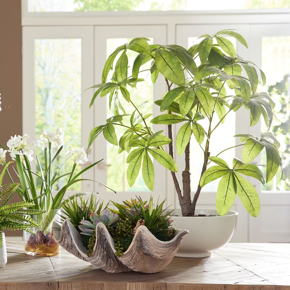 money tree vase Uttermost Pachira Money Tree