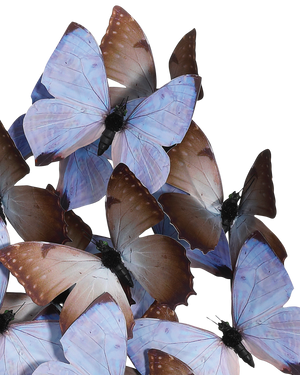 Rue de Bac Lilac Large Butterflies