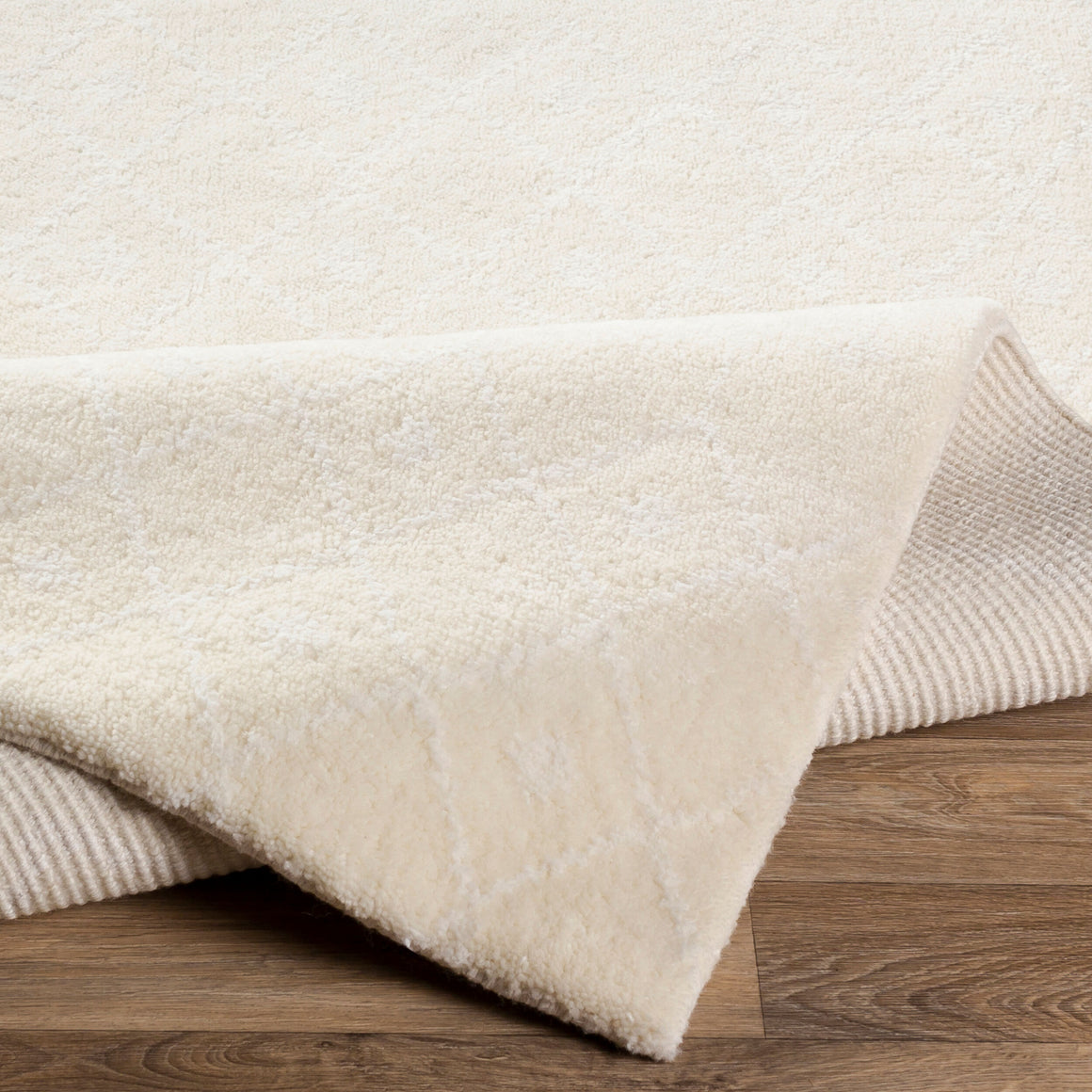 Surya Casa CAA-2300 Handmade Rug