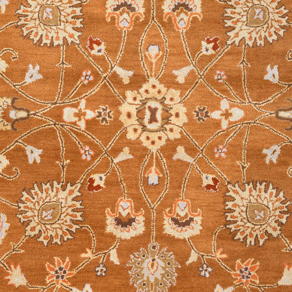 Surya Caesar CAE-1120 Handmade Rug