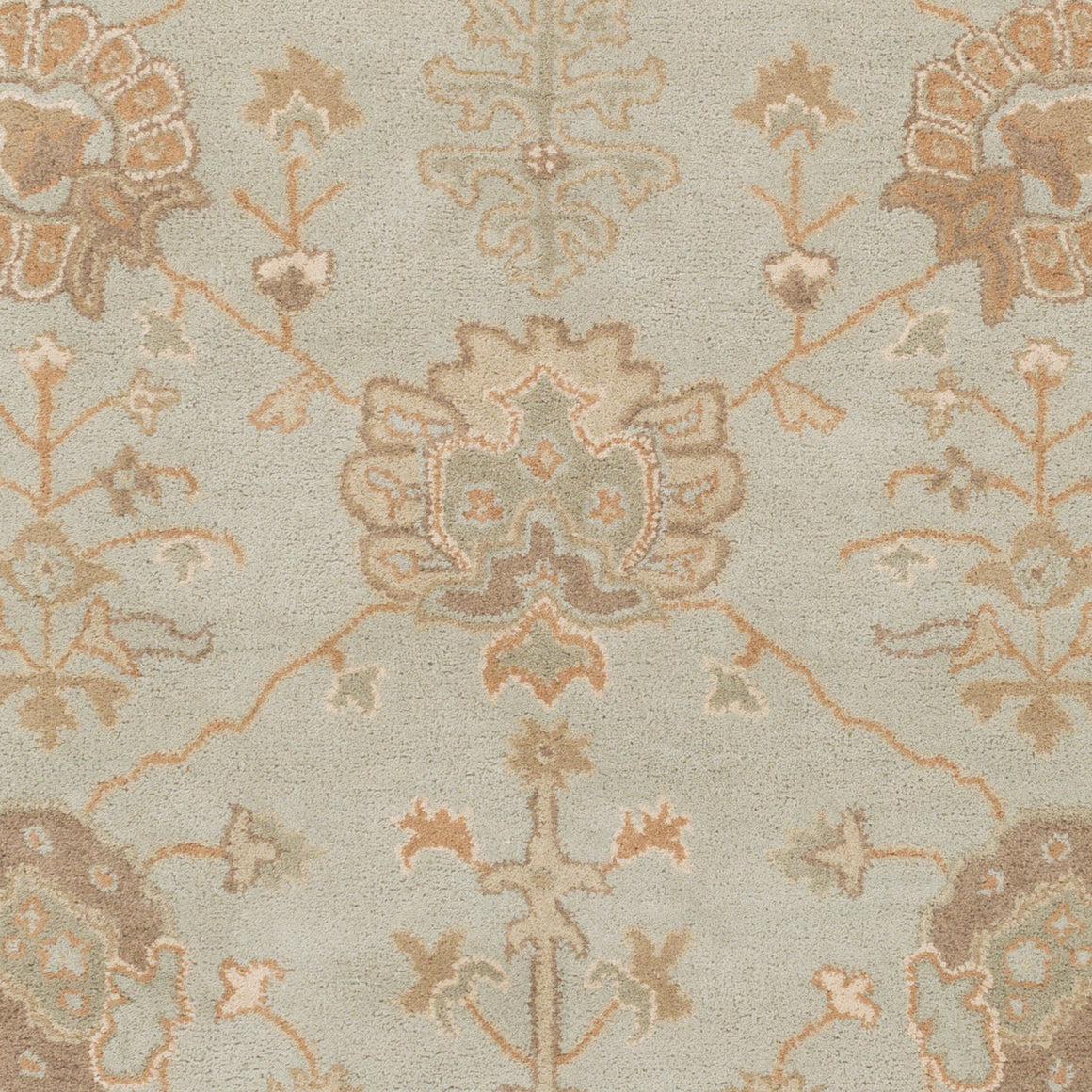 Surya Caesar CAE-1163 Handmade Rug