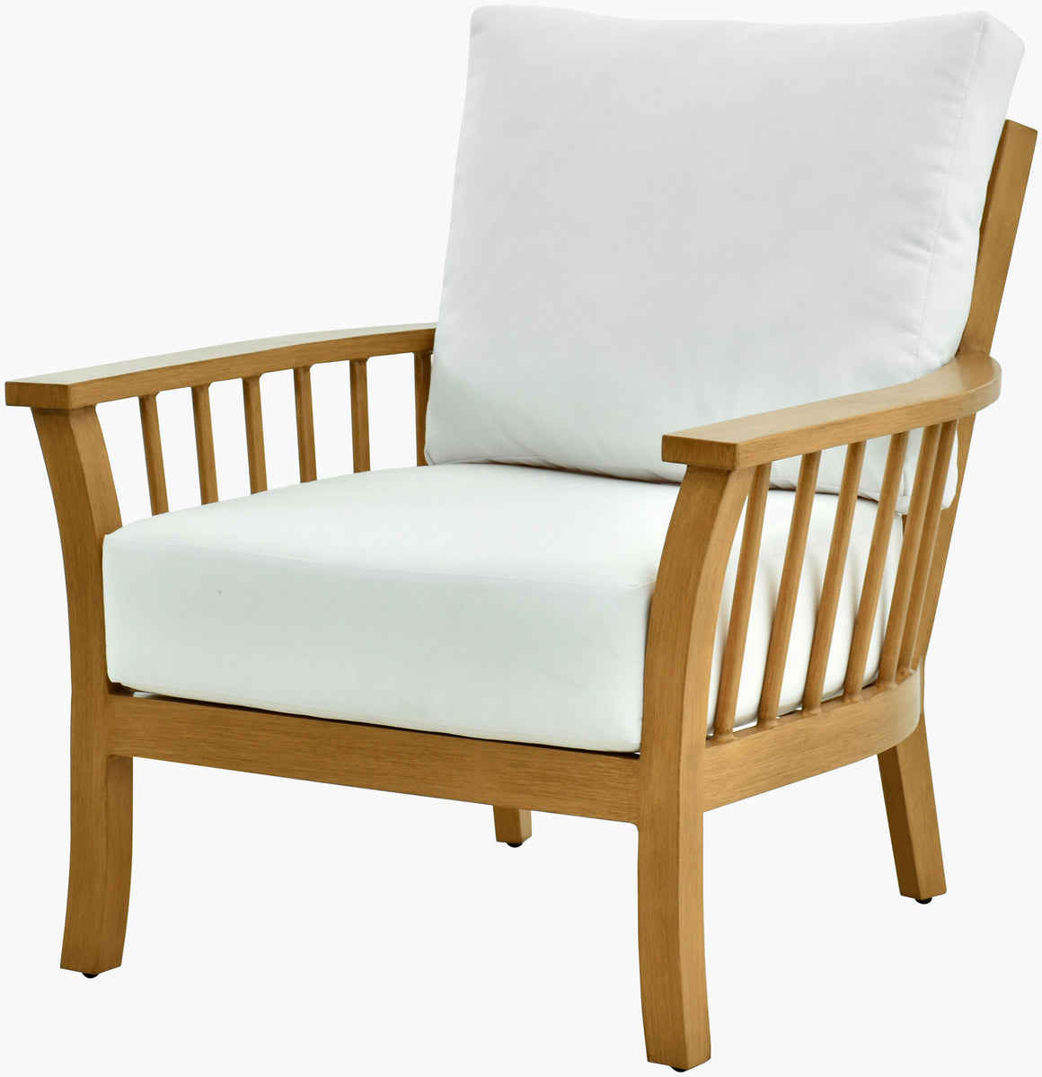Surya Cape Town CAPE-001 Accent Chair