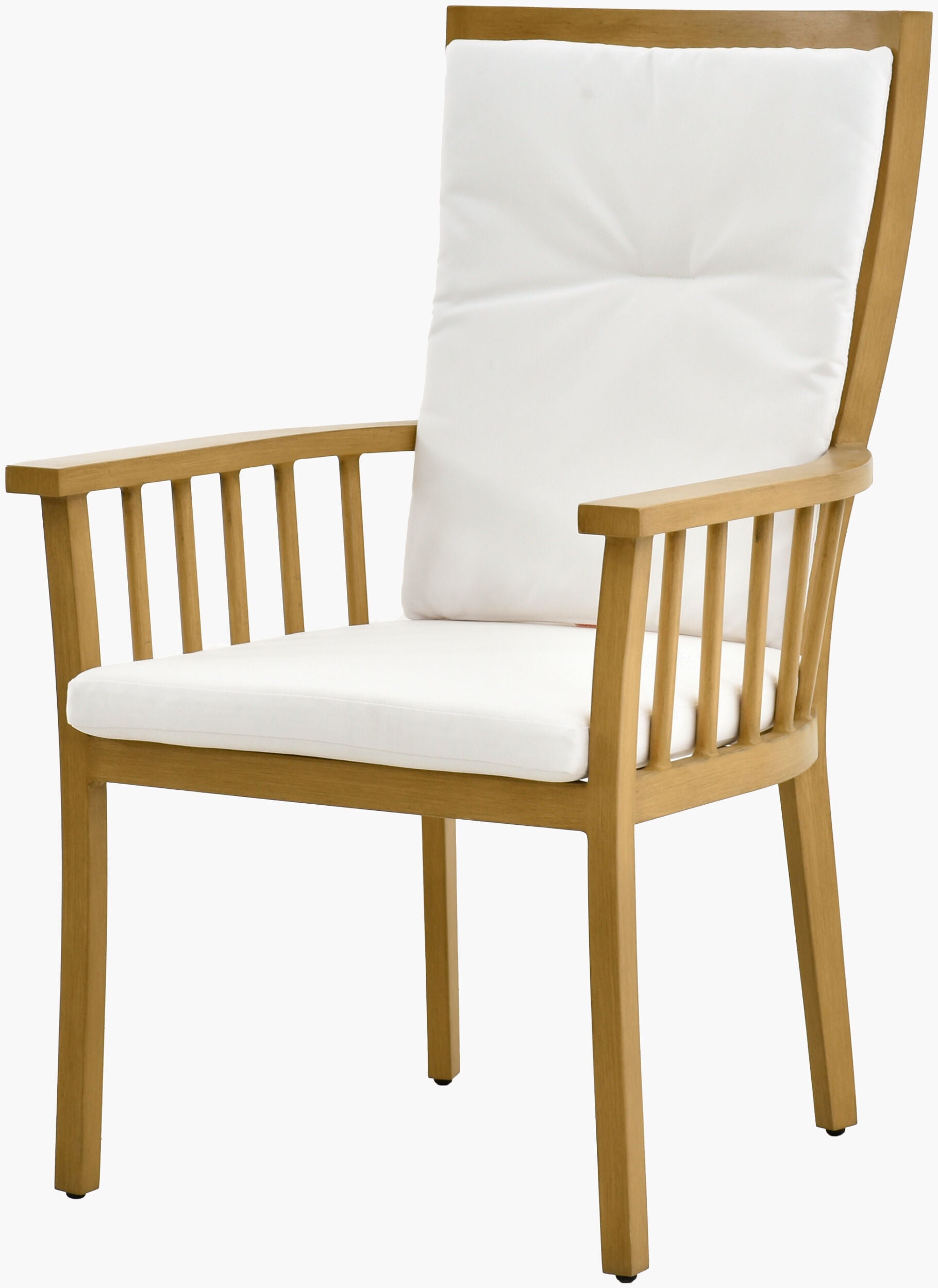 Surya Cape Town CAPE-003 Dining Chair