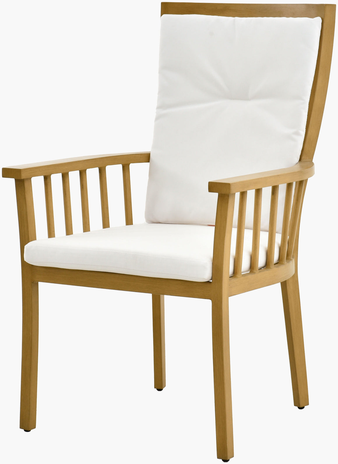 Surya Cape Town CAPE-003 Dining Chair