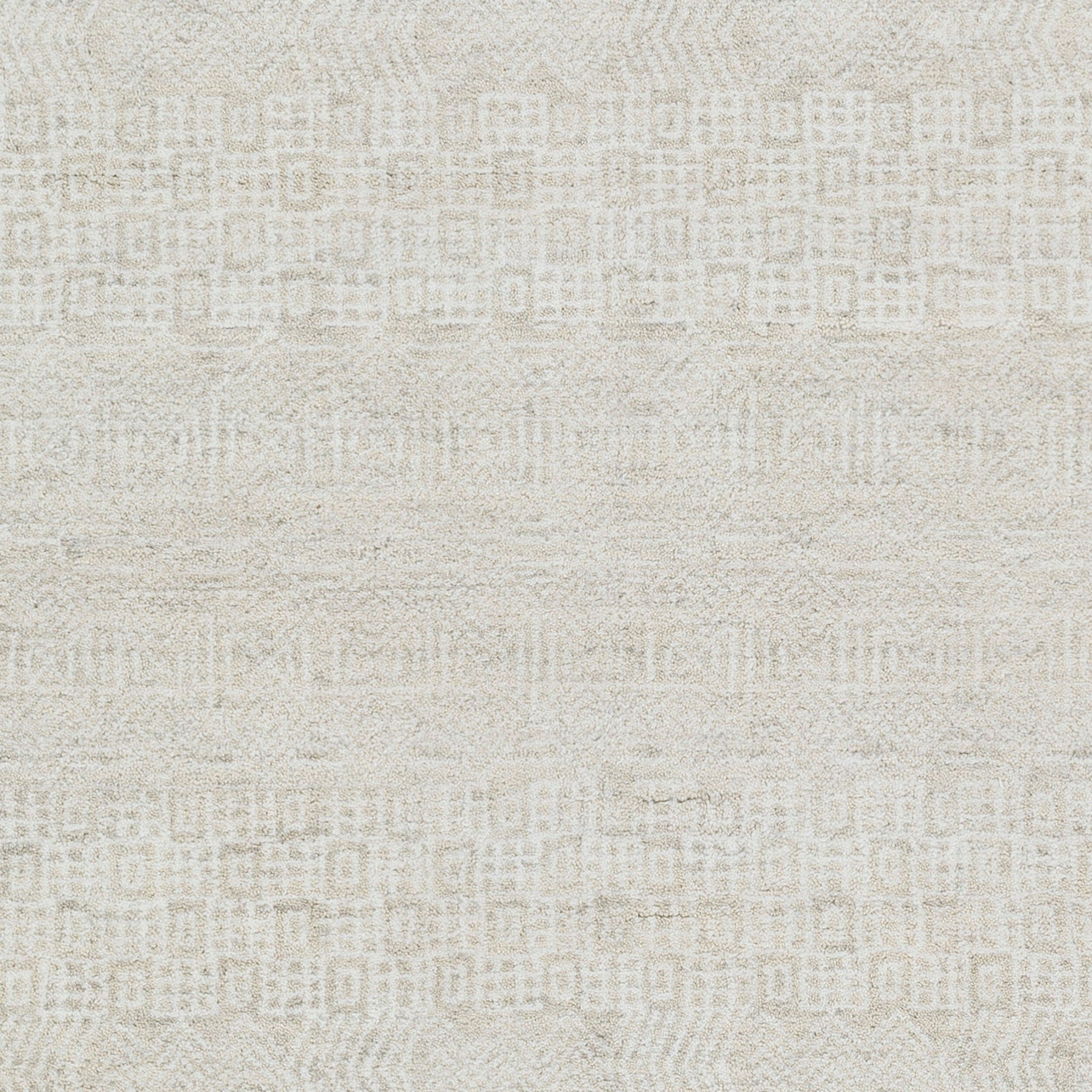 Surya Claude CAU-1005 Handmade Rug