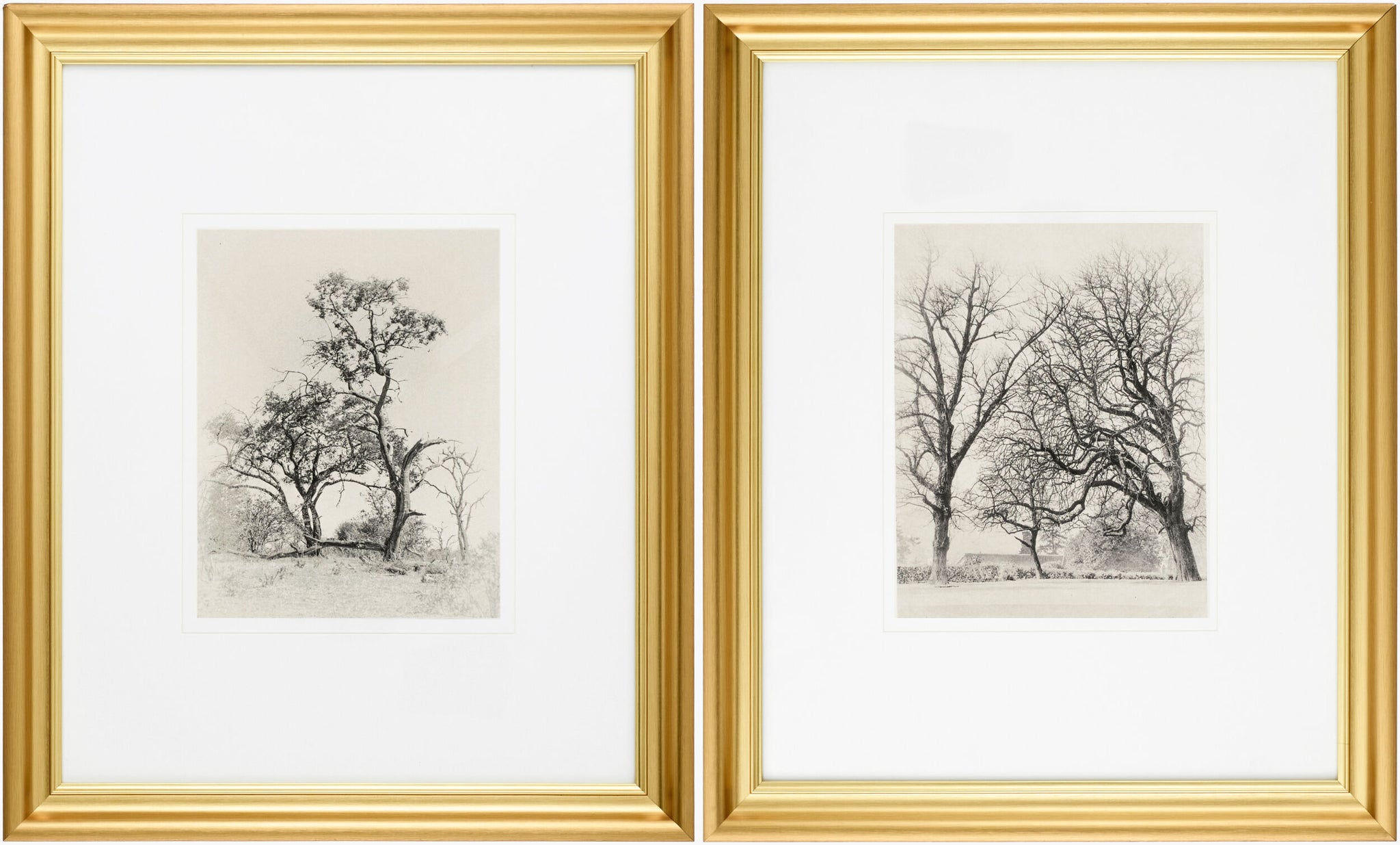 Surya Coconino COCO-001 Framed Art