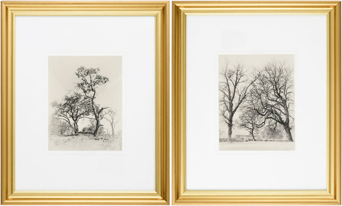 Surya Coconino COCO-001 Framed Art