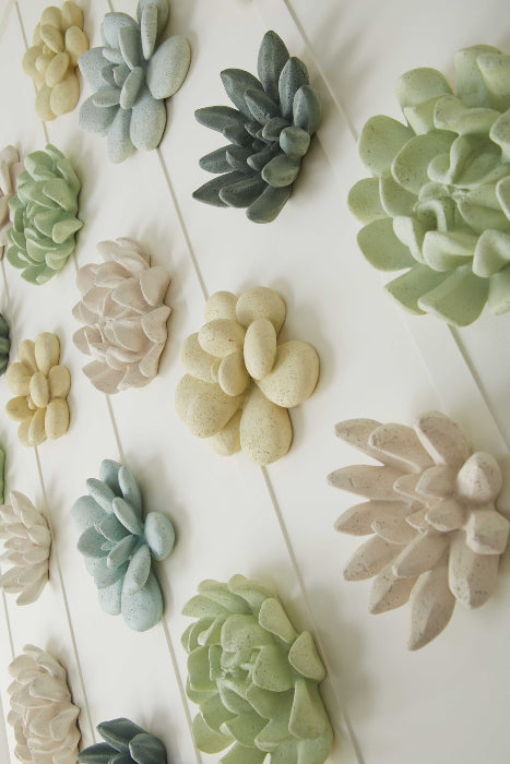 succulent metal wall art Oviferum Succulent Wall Art, Chartreuse