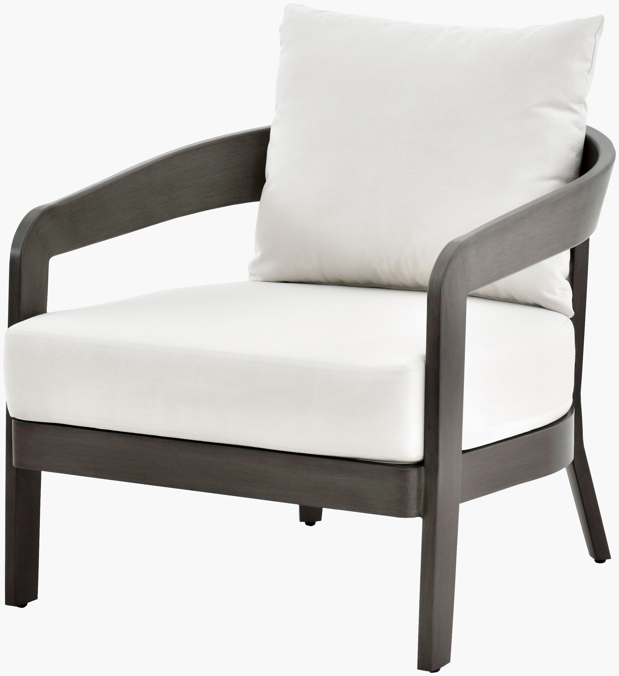 Surya Daniella DANE-001 Accent Chair