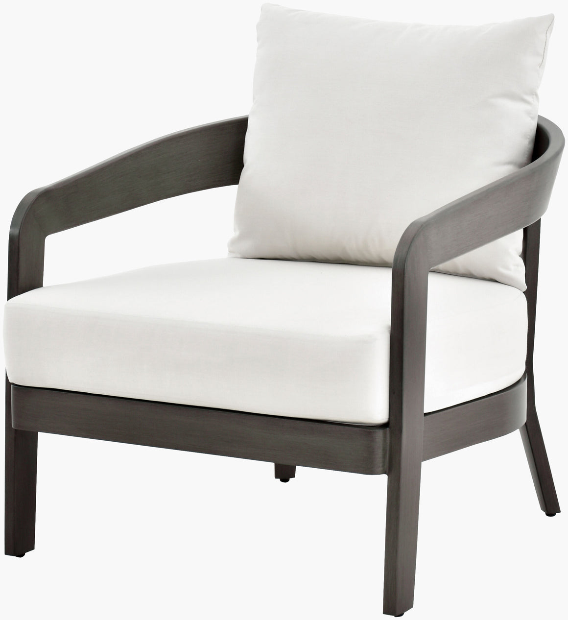 Surya Daniella DANE-001 Accent Chair