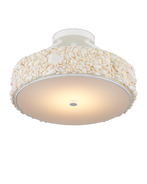 Turbinella Semi-Flush Mount