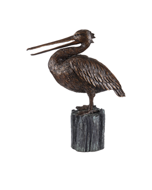 Pelican Bronze