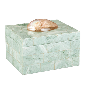 Fiona Box
