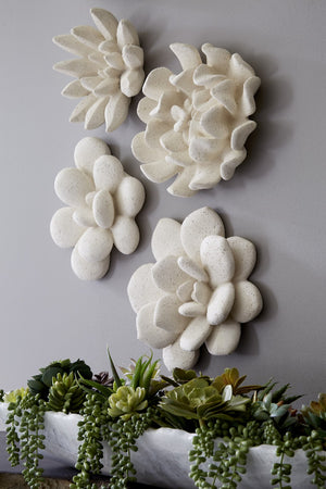 Laui Succulent Wall Art, White Stone