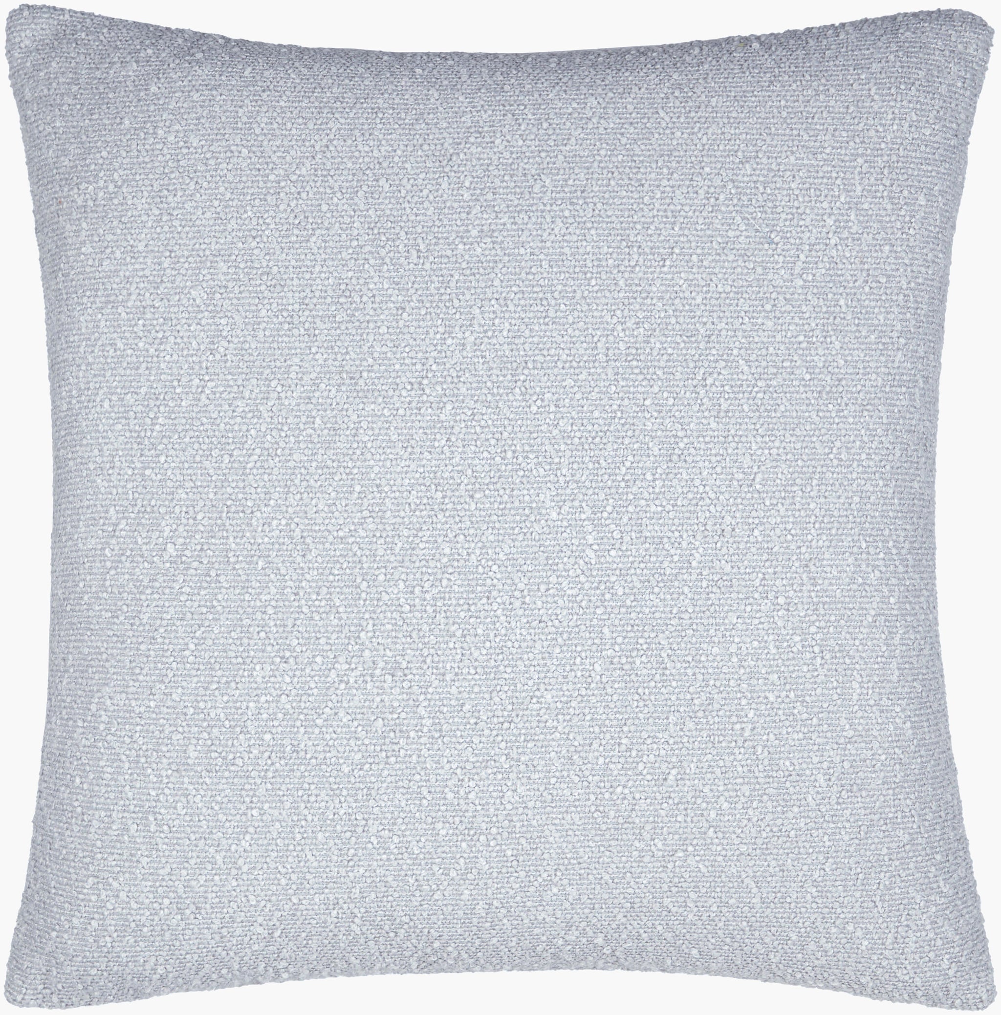 Surya Eesha ESH-003 Accent Pillow
