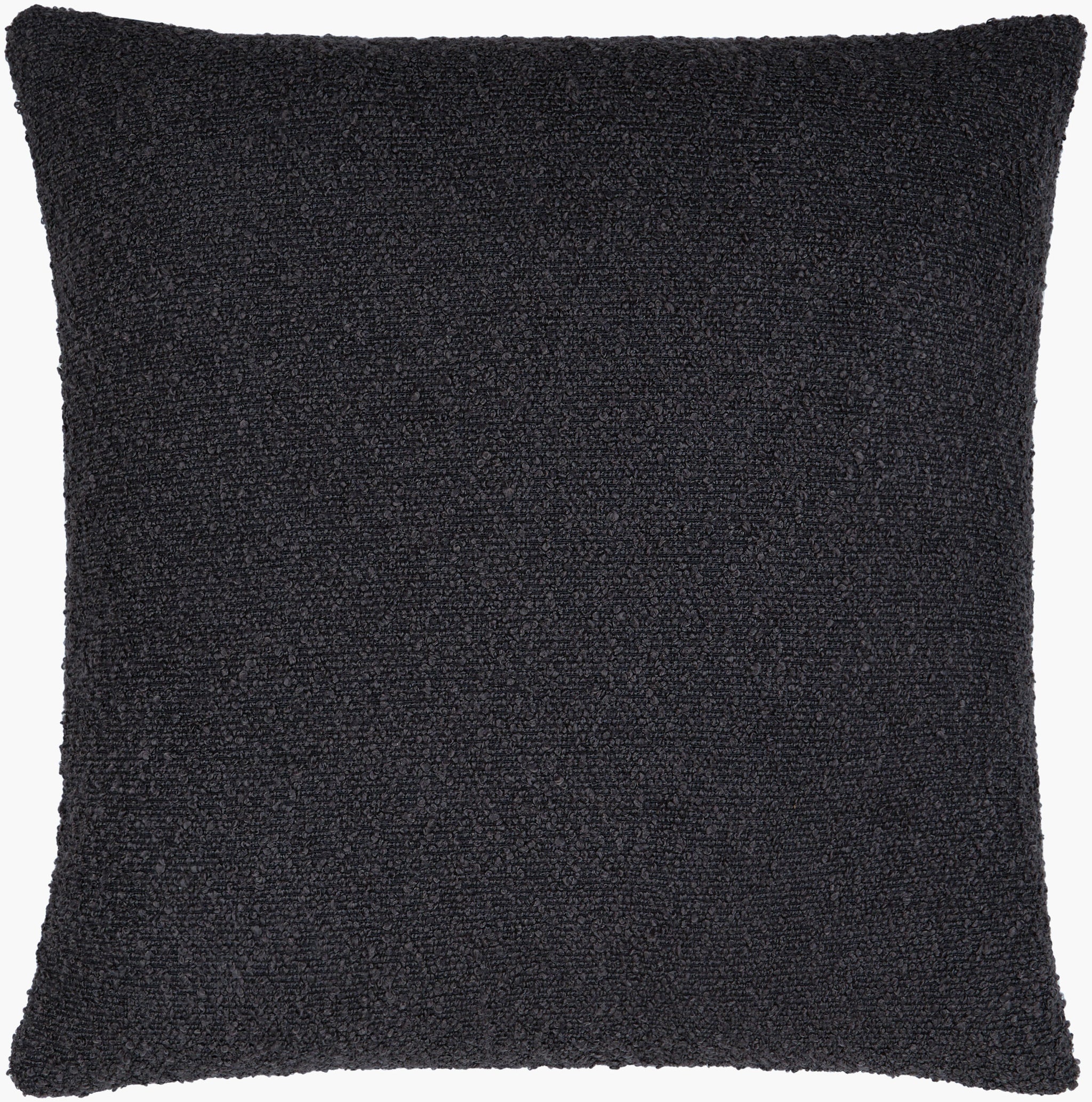 Surya Eesha ESH-006 Accent Pillow