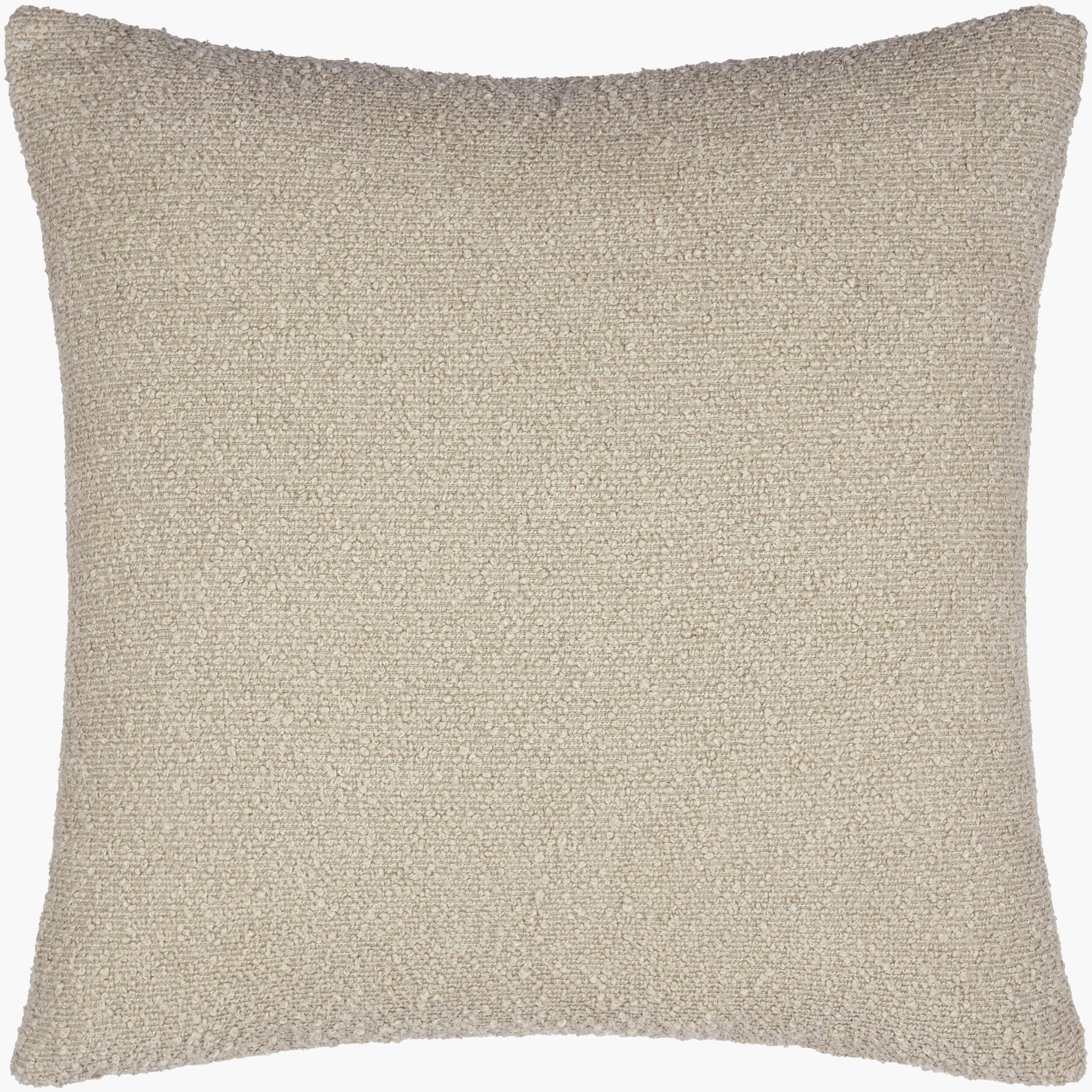 Surya Eesha ESH-008 Accent Pillow