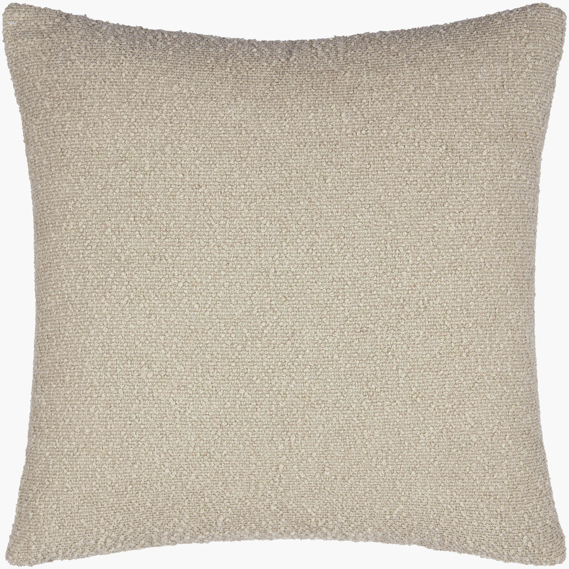 Surya Eesha ESH-008 Accent Pillow