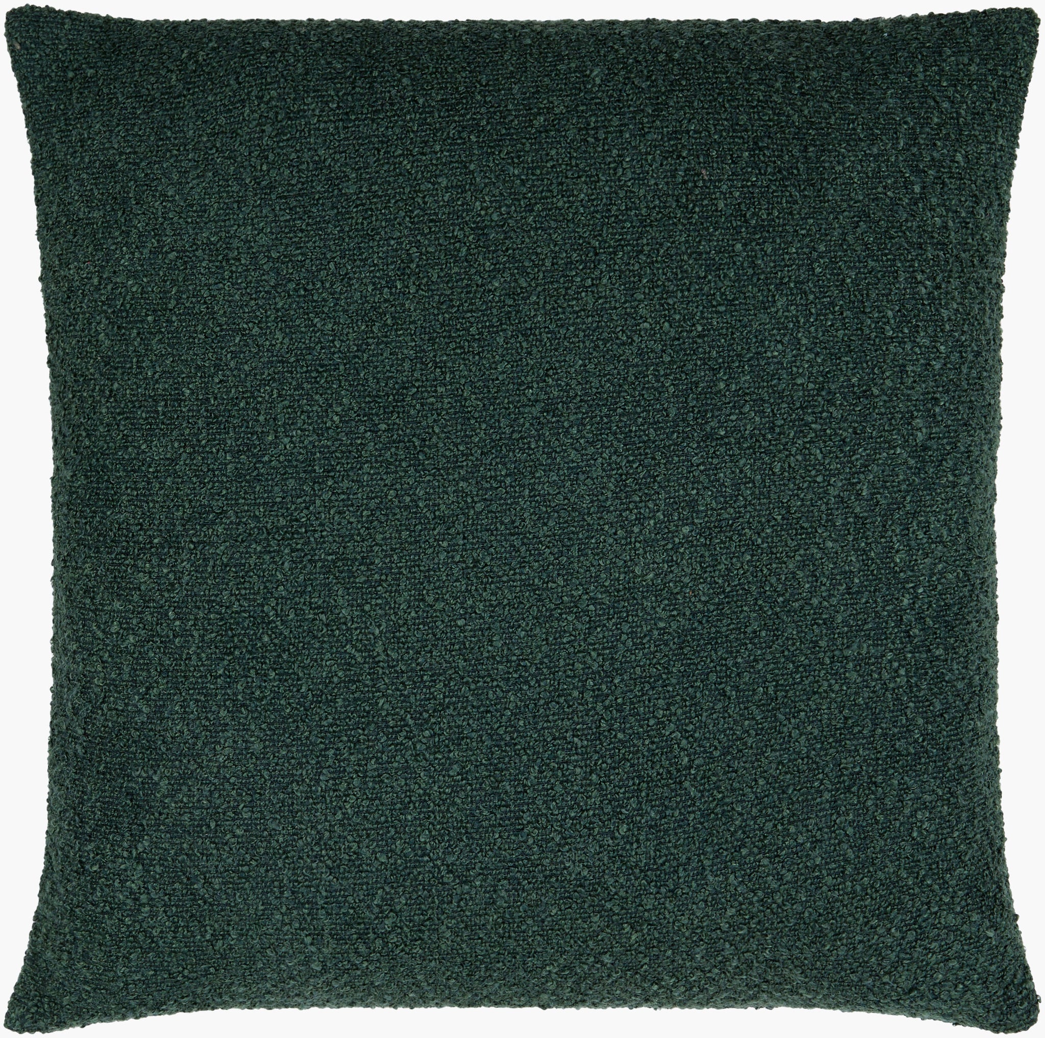 Surya Eesha ESH-013 Accent Pillow