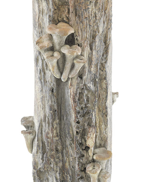 Porcini Table Lamp