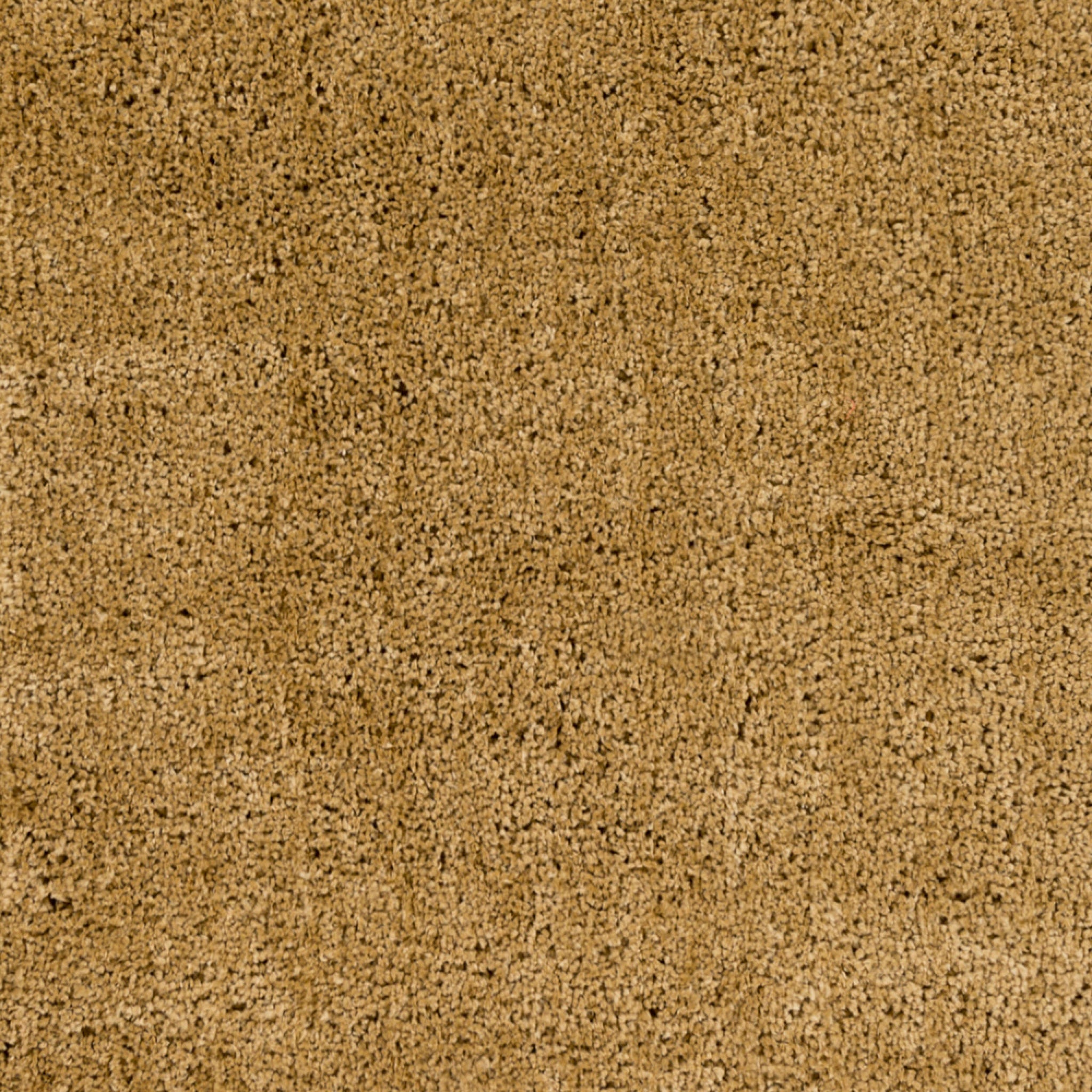 Surya Goddess GDS-7504 Handmade Rug