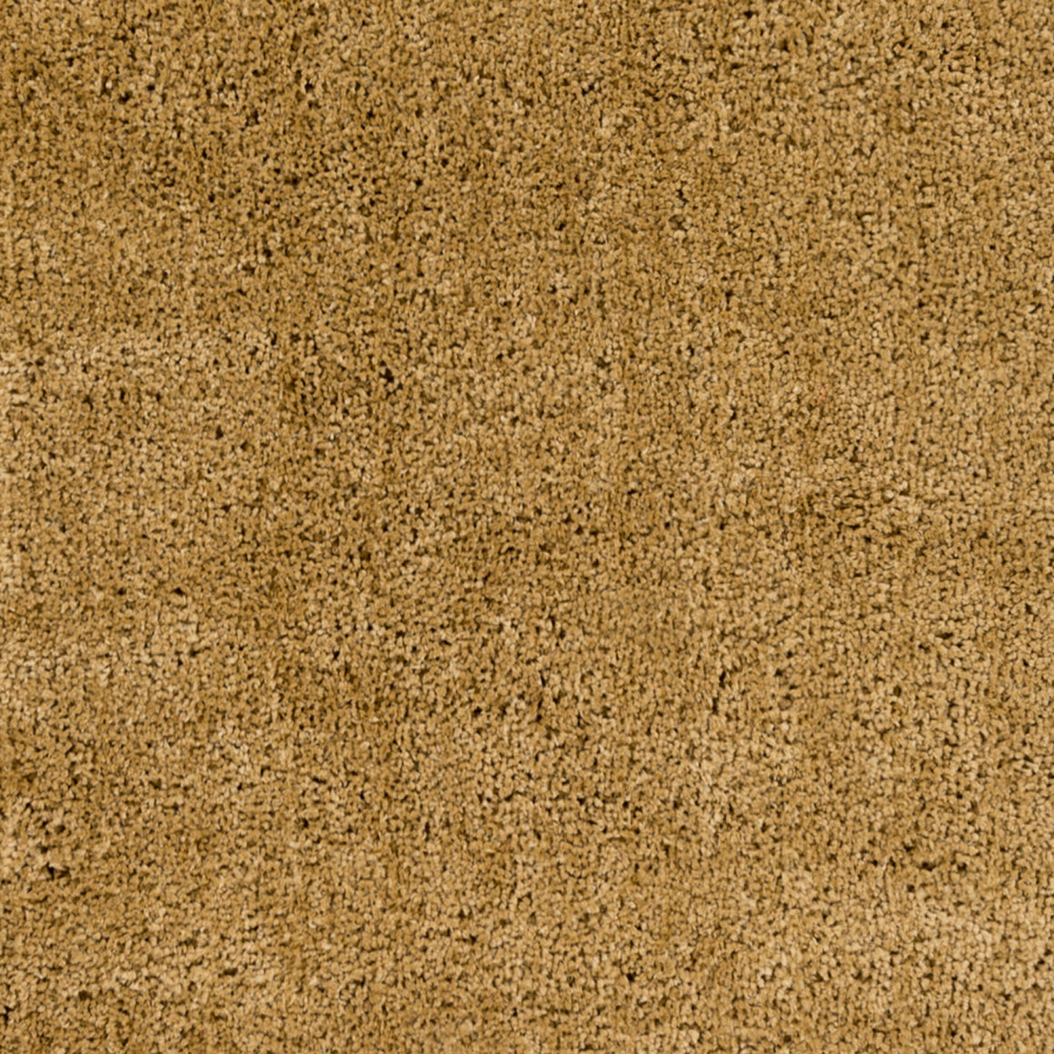 Surya Goddess GDS-7504 Handmade Rug