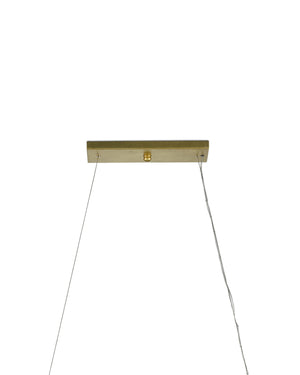 Golden Eucalyptus Rectangular Chandelier