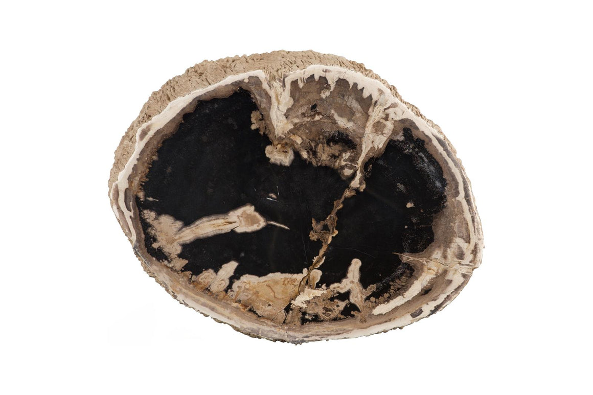 Chaka Petrified Stool, Rough, Cream