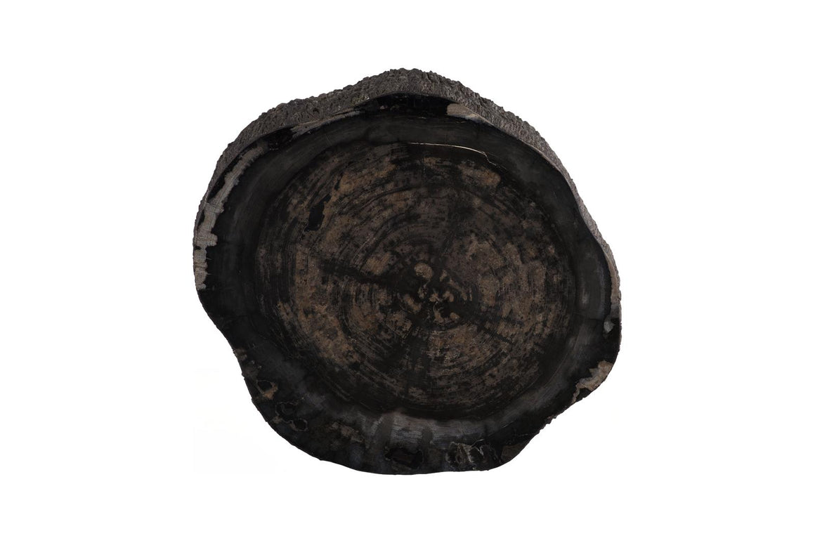 Chaka Petrified Coffee Table, Rough, Black, Small