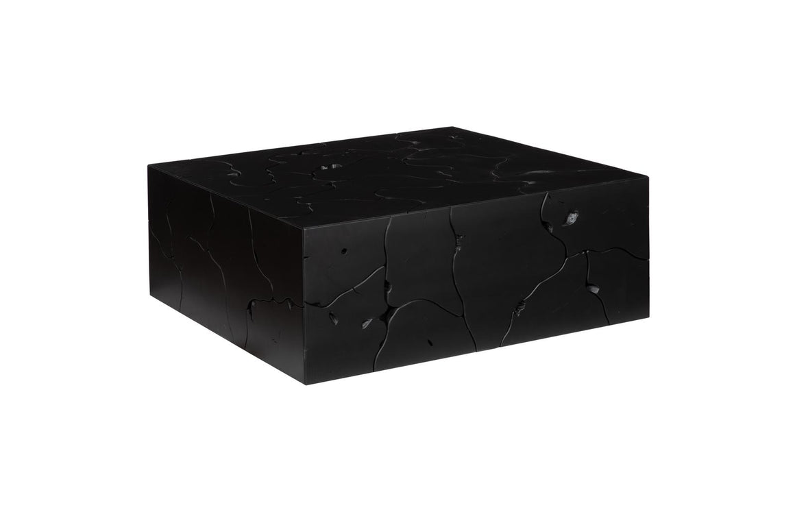 Teak Slice Coffee Table, Square, Black